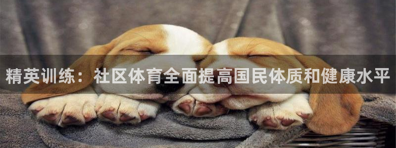 JJB竞技宝官网下载招商电话地址查询