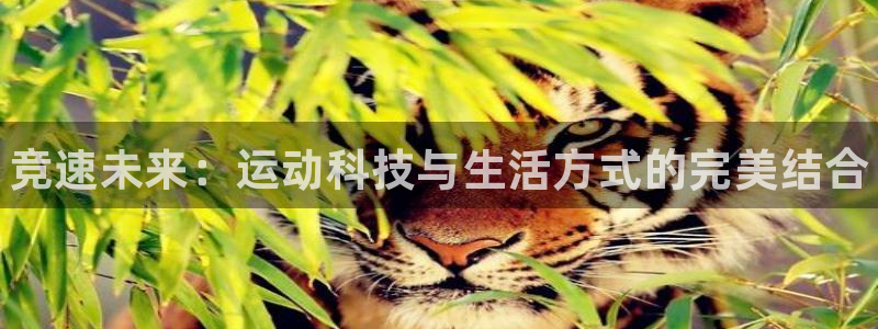 JJB竞技宝官方正版app集团官网首页：竞速未来：运动科技与