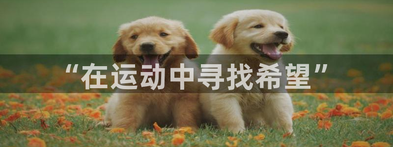 JJB竞技宝官方平台体育