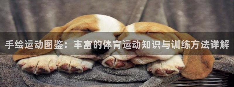 注册JJB竞技宝官方正版app：手绘运动图鉴：丰富的