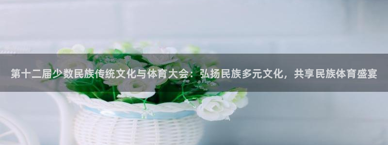 JJB竞技宝官方正版app科技：第十二届少数民族传统文化与体