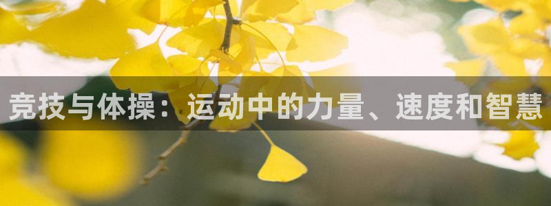 JJB竞技宝官网下载开户：竞技与体操：运动中的力量、