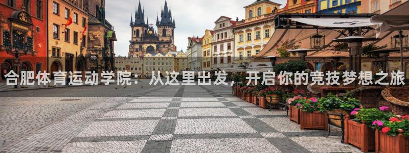 JJB竞技宝官网下载招商电话是多少号码