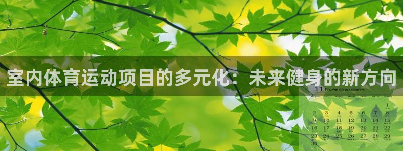 JJB竞技宝官网下载开户：室内体育运动项目的多元化：