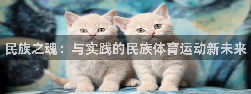 JJB竞技宝官方正版app娱乐网站：民族之魂：与实践
