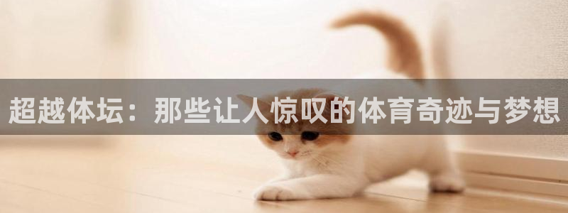 JJB竞技宝官方正版app新能源：超越体坛：那些让人