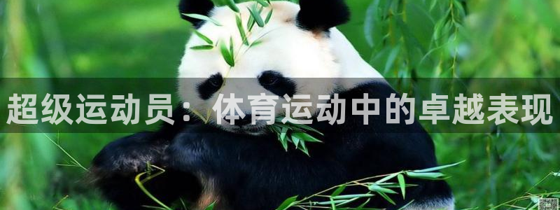 JJB竞技宝官网下载注册：超级运动员：体育运动中的卓越表现