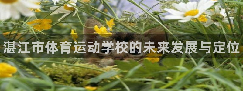 JJB竞技宝官网下载平台是正规平台吗安全吗：湛江市体育运动学