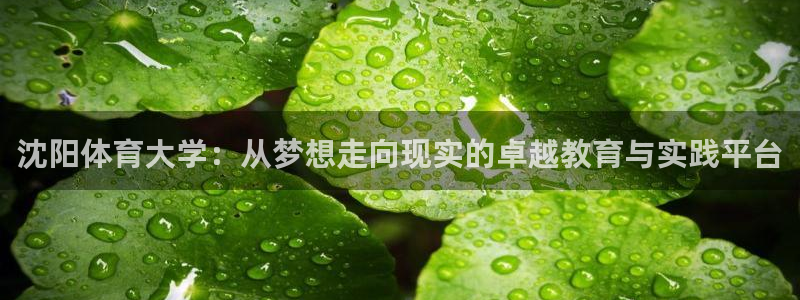 JJB竞技宝官网下载招商电话：沈阳体育大学：从梦想走向现实的