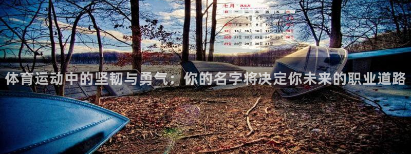 注册JJB竞技宝官方正版app：体育运动中的坚韧与勇气：你的