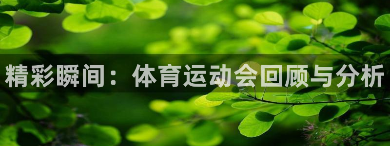 JJB竞技宝官网下载娱乐：精彩瞬间：体育运动会回顾与分析