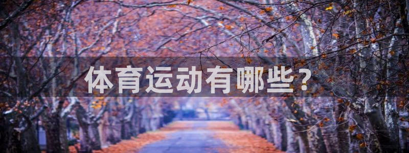 JJB竞技宝官方正版app五金厂：体育运动有哪些？