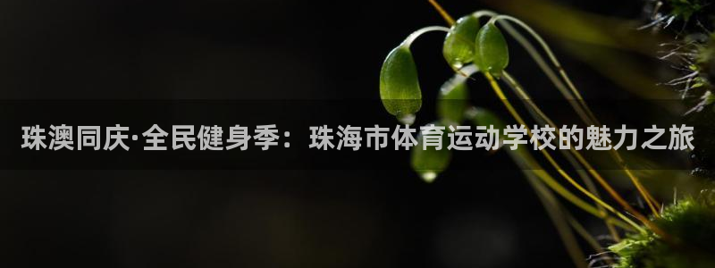 JJB竞技宝官网下载平台注册要钱吗安全吗：珠澳同庆·全民健身