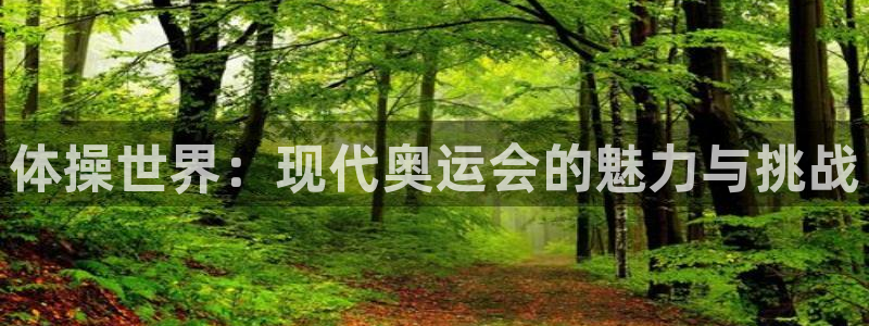 海南JJB竞技宝官网下载：体操世界：现代奥运会的魅力与挑战
