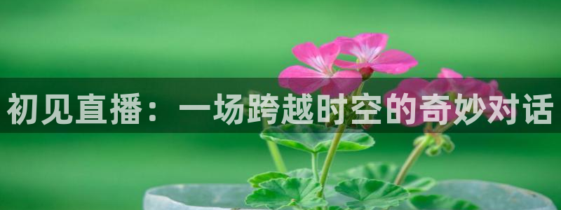 玩球直播官网nba直播免费观看：初见直播：一场跨越时空的奇妙对话