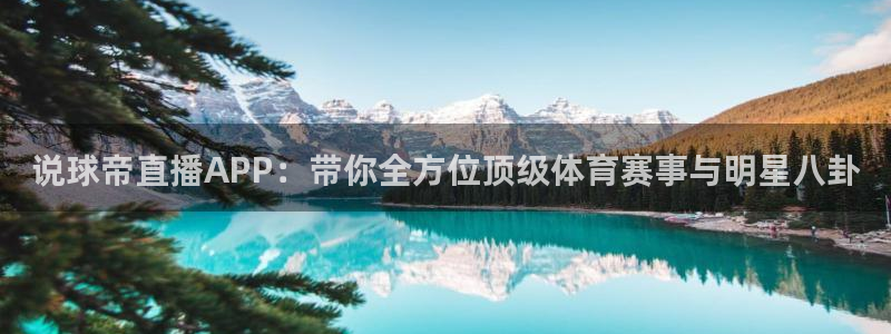 玩球直播app下载安装：说球帝直播APP：带你全方位顶级体育赛事与明星八卦