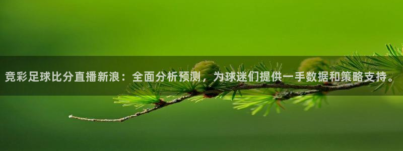 玩球直播官网：竞彩足球比分直播新浪：全面分析预测，为球迷们提供一手数据和策略支持。